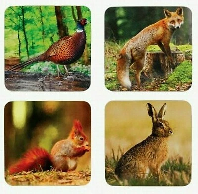 4er Set Untersetzer Wildlife Wald Tiere Korkunterseite The Leonardo Collection - Bild 1 von 2