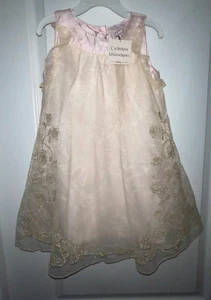 NWT Catherine Malandrino Mini Toddler Pink Easter Floral Dress Girls 3T - Picture 1 of 7
