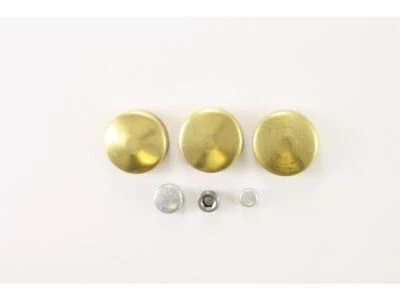 For 1964-1973 Pontiac GTO Expansion Plug Kit 14773PSSY 1965 1966 1967 1968 1969 - Image 1 of 2