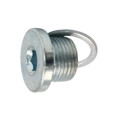 Fit For 2017 Porsche 718 Cayman 2010-2016 Panamera Engine Oil Drain Plug New — 第 1/4 张图片