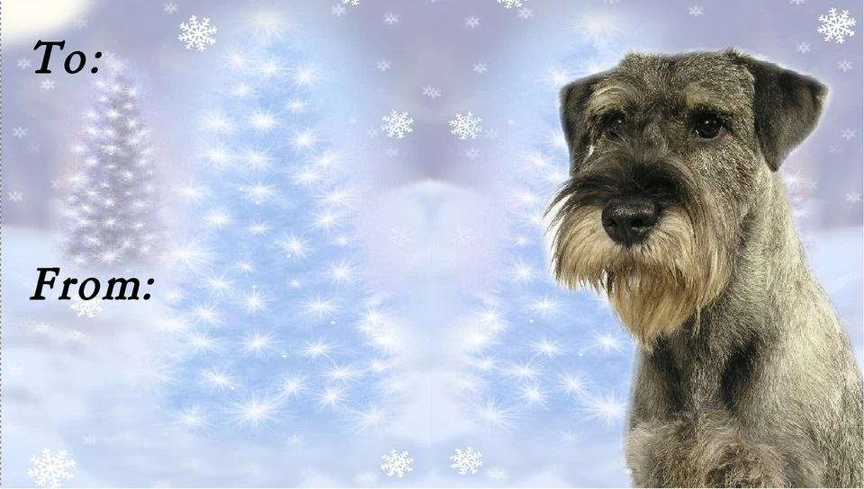 Etichette natalizie Schnauzer di Starprint