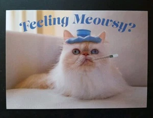 Funny Get Well Card - Picture 1 of 4