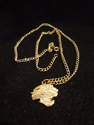 GOLD TONE Jacksonville Jaguars NFL Logo Necklace ~ NEW ~ FREE SHIPPING Cover
