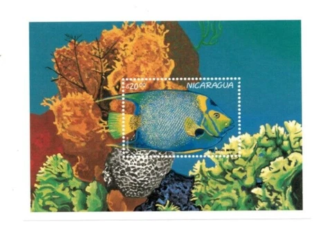 Nicaragua 1996 - Fish - Marine Life - Souvenir Stamp Sheet - Scott #2189 - MNH Cover