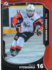 2013/14 Niagara IceDogs - MITCHELL FITZMORRIS
