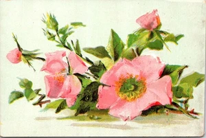 Vintage Blumen Postkarte rosa Wildrosen Illustration unbenutzt mehrsprachig Rückseite - Bild 1 von 2