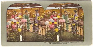 Stereoview JAPAN Chrysanthemum Show GEISHAS Yokohama - Picture 1 of 2