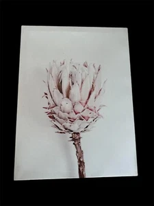 Elegant Botanical Wall Art - Set of 4 (18” x 24”) - Picture 1 of 5