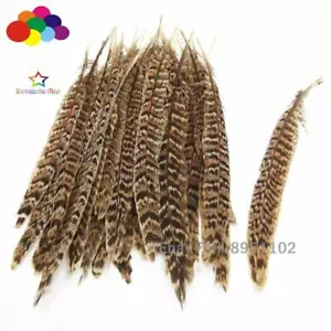 10-25 cm/4-10 pollici piume coda di fagiano donna naturale fai da te 10-100 pz - Foto 1 di 5