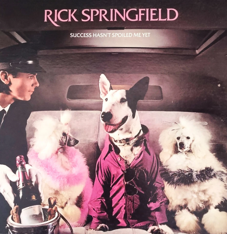 RICK SPRINGFIELD SUCCESS HASN’T SPOILED ME YET 1982 LP RCA PRINT VINTAGE VINYL - Image 1 of 1