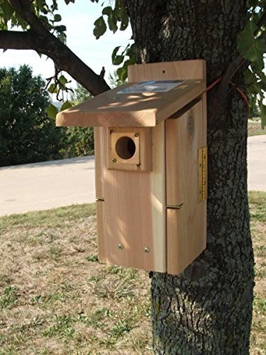 GC - Songbird Essentials - Ultimate Bluebird House Foto 1 de 1