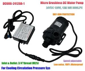 Drehzahl einstellbare 24V DC 120W kleine bürstenlose Wasserpumpe DC60G-24120A 12m 3800LPH - Bild 1 von 13