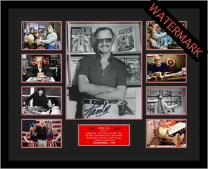 STAN LEE SPIDERMAN MARVEL LIMITED EDITION 100 ONLY SIGNED FRAMED MEMORABILIA - Picture 1 of 6