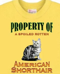 Cat T-Shirt Men Women - Property of a American Shorthair Cat -- 5 Colors - Picture 1 of 6