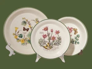 CERAMICA ENOCH WEDGWOOD VINTAGE SERVIZIO 18 PIATTI SERIE BOTANICA FLORABUNDA - Imagen 1 de 13