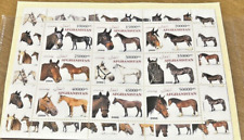 AFGHANISTAN  HORSES SOUVENIR SHEET MNH, with end tabs 2000