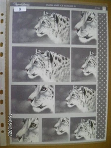 Beautiful Pollyanna Pickering Snow & Ice Die Cut Toppers. 'Set 03 B' (294) - Picture 1 of 3