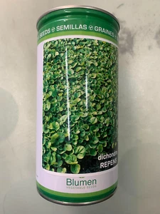 SEMI ERBA DA PRATO DICHONDRA REPENS 0,5 KG BLUMEN SEME CONFETTATO 78% PUREZZA - Foto 1 di 4