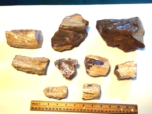 Premium Opalized Oregon Petrified Wood- Over 6-1/4 lbs. total weight. - Picture 1 of 12