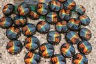 100 PRISM BREWING BEER BOTTLE CAPS BLACK AND RAINBOW NO DENTS CLEAN FAST SHIPNG!