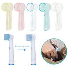 Cap Toothbrush Head Protective Cover Toothbrush Heads Cover Toothbrush Cover