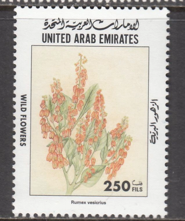U.A.E. - 250f Wild Flowers Issue (MNH) 1998 (CV $5) - Image 1 of 1