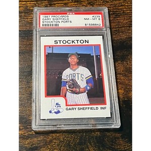 1987 PRO CARDS GARY SHEFFIELD MINOR LEAGUE BASEBALL ROOKIE CARD  GRADED PSA 8