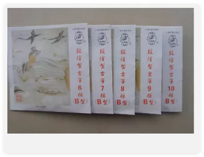 Guzheng B string standard strings Germany with steel core 1-10 sets strings - Image 1 of 3