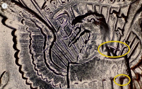 2001 P Kennedy Half Dollar with Die Clash Uncirculated Business Strike Error Cover