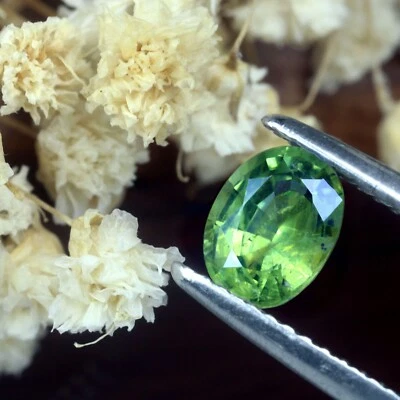 Tremendous Certified 1.03ct Natural Green Sapphire Madagascar Oval 6.5x5mm - Image 1 of 2
