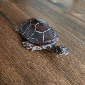 Mid Century Turtle Sculpture Wood Folk Art Carving Sea Turtle nice polish - Picture 1 of 4