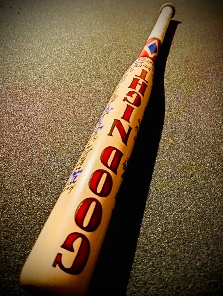 Harley Quinn Bat Cosplay Birds of Prey Suicide Squad Bat Co. Foto 1 de 4