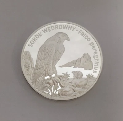 2008 POLAND 20 ZLOTYS SILVER COIN FALCO PEREGRINUS - PEREGRINE FALCON - Image 1 of 4