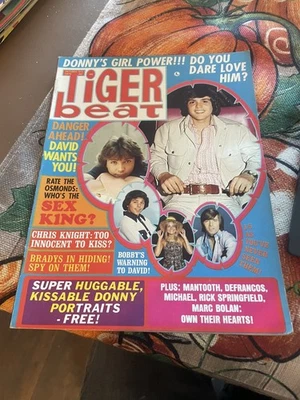 Tiger Beat Magazine Oct 1972 Brady Bunch Partridge Family David Cassidy - Image 1 of 4