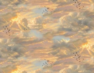 Tela Arca de Noé - Rayos de sol y nubes beige azul - Yarda de estudio de Elizabeth - Imagen 1 de 1