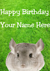 Chinchilla hs108 Garden Fun Cute Personalised Happy Birthday Greeting Card
