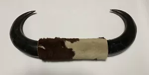 Taxidermy Bison Horns Wrapped In Hide - Picture 1 of 5