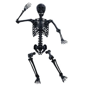 Life Size Imitation Halloween Skeleton,Halloween Pose Skeleton Prop Decoration  - Picture 1 of 16