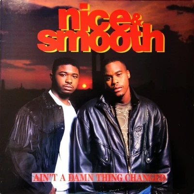 Nice & Smooth - Ain't A Damn Thing Changed (LP, Album) (Very Good Plus (VG+)) - Image 1 of 4