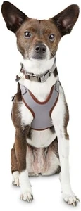 REDDY Dog Harness XS Charcoal Gray Extra Small Adjustable Lightweight NEW - Picture 1 of 5