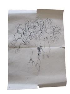 PÓSTER ERÓTICO EMMANUELLE ARSAN 1974 - LES MIROIRS n°4 - Imagen 1 de 4