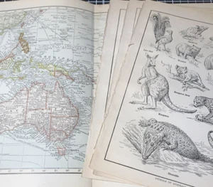 Pazifik Ozeanien Australien 1910er Wandbild Karte gefaltet Handarbeit Pflanzen Tiere - Bild 1 von 18