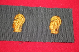 ORIGINAL EE. UU. SEGUNDA GUERRA MUNDIAL - PERÍODO DE LA GUERRA DE COREANA WAC MUJERES CUERPO DE EJÉRCITO OFICIAL COLLAR INSIGNIAS - Imagen 1 de 1