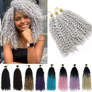 US Deep Water Wavy Curl Hair Crochet Braids Hair Extensions White Grey For Human - Picture 1 of 32
