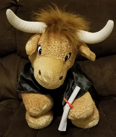 University of Texas Longhorns Bevo Graduation Plush with Gown and Diploma Cover