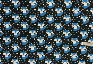 Stoff Jersey Staghorn Foxy Fox Baumwolljersey Nähen Kinderstoff Fuchs Füchse - Bild 1 von 1