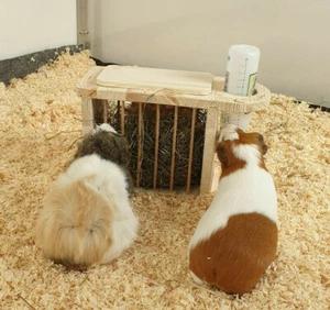 Heuraufe Meerschweinchen Kleintier mit Trinkflaschenhalter 80007 - Bild 1 von 6