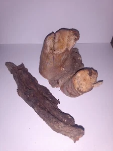 Zwei Rindenstücke von unserem weißen Weidenbaum (kann als Dekoration verwendet werden) - Bild 1 von 6