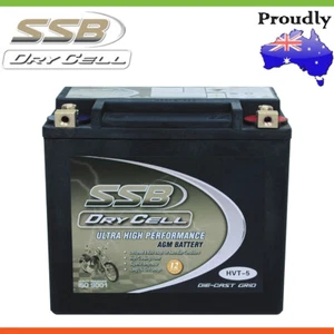 SSB 12V Ultra High Performance AGM Battery For KAWASAKI Z1000 ST1000 SHAFT DRIVE - Imagen 1 de 5