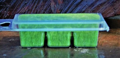 6pk 100 hr CITRONELLA & JASMINE Strong Scented Clam CANDLE MELTS for OIL BURNER - Image 1 of 4